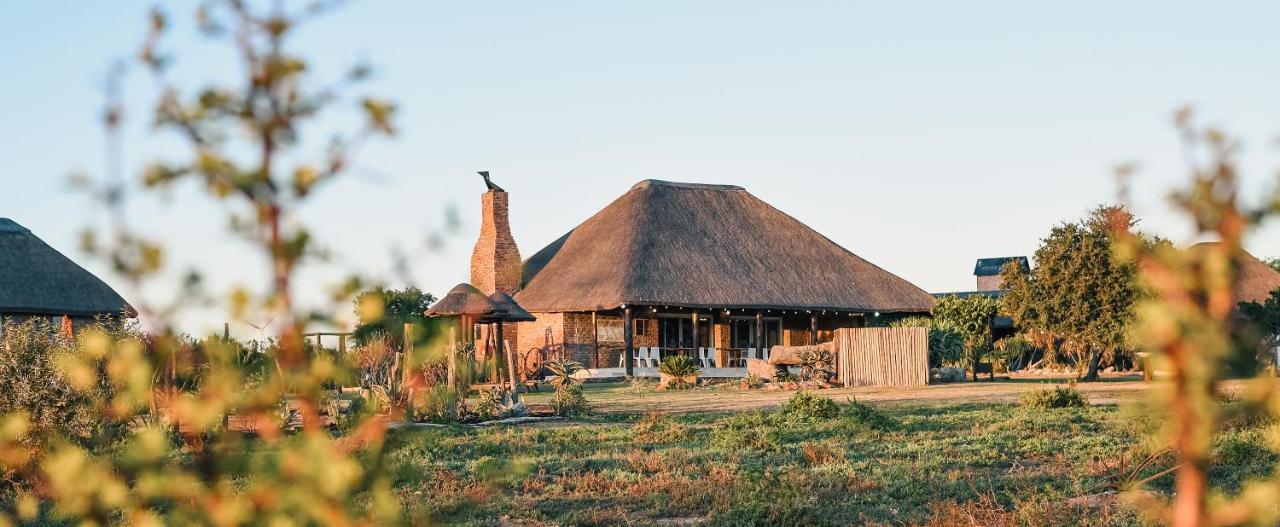 Charihandra Game Lodge Addo Eksteriør billede