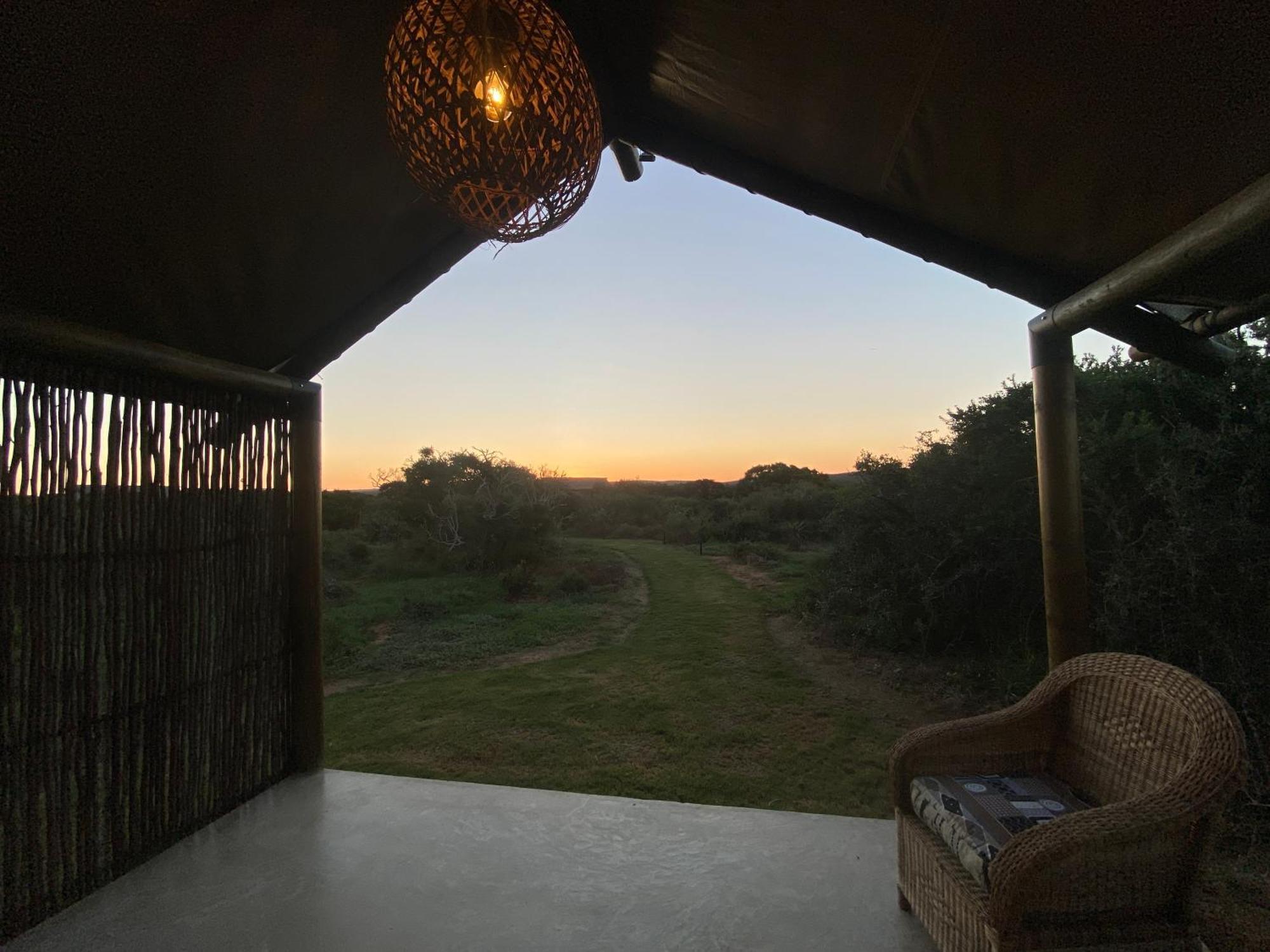 Charihandra Game Lodge Addo Eksteriør billede